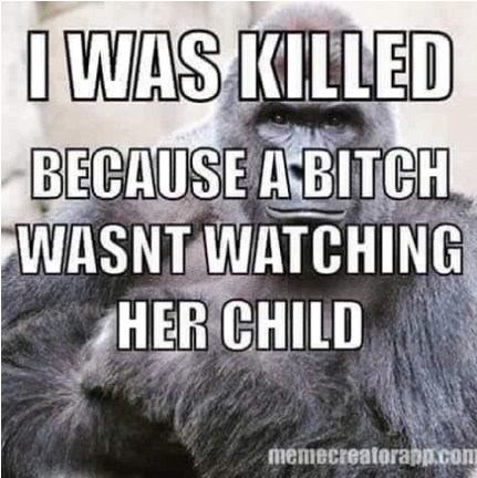 Screen Shot 2016-05-31 at 3.24.30 PM